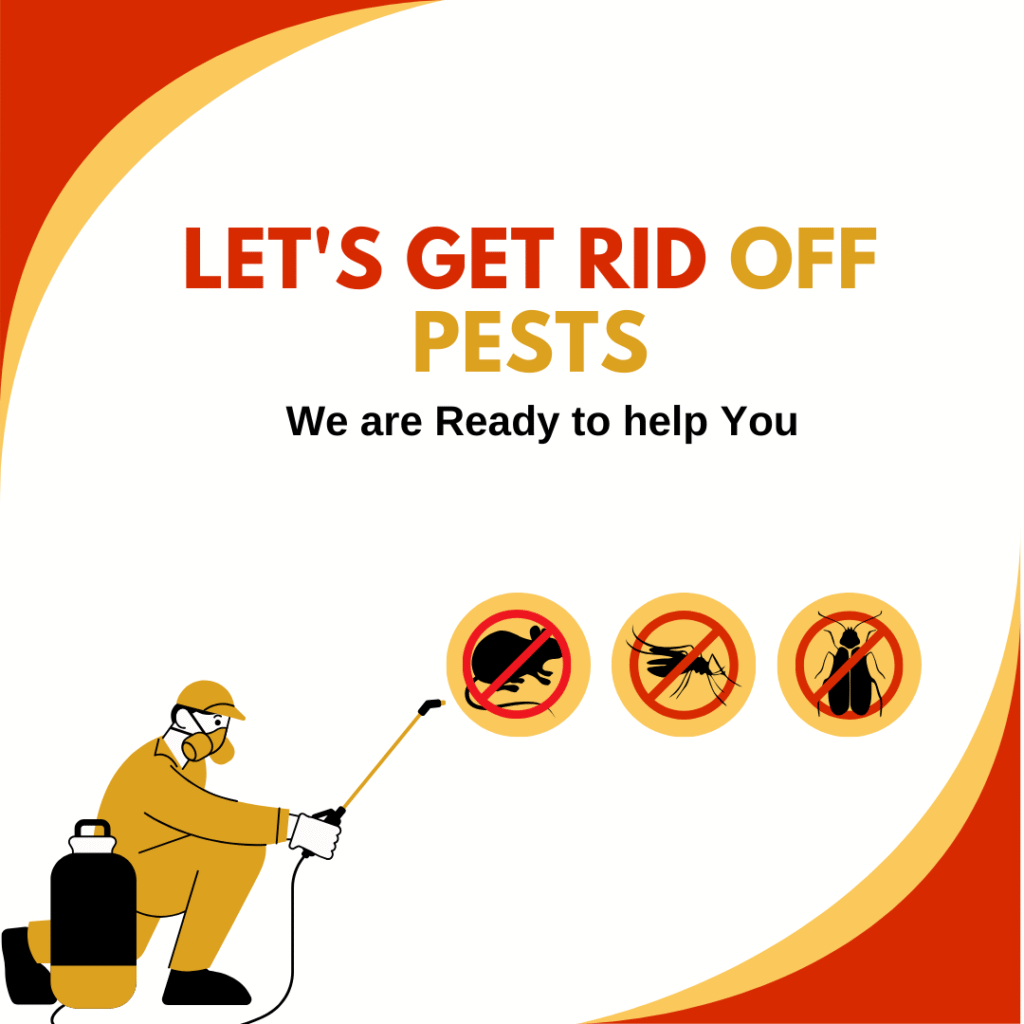 24X7 Pest control